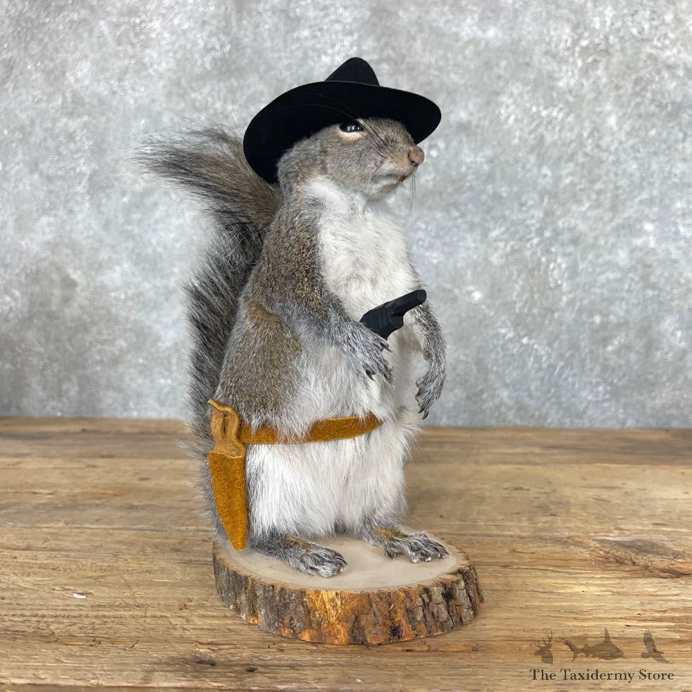 Cowboy Squirrel Novelty Mount For Sale #24975 @ The Taxidermy Store