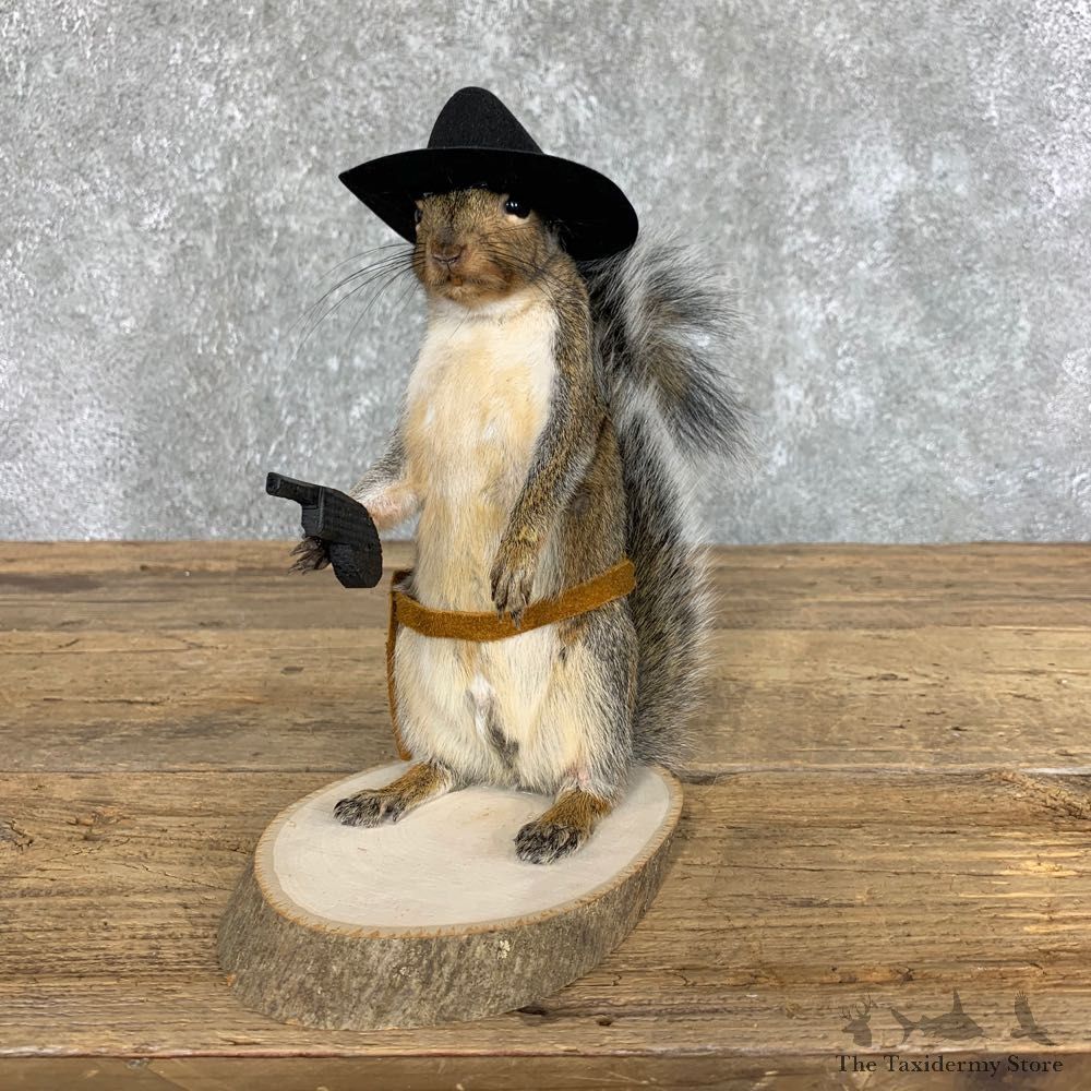 Cowboy Squirrel Novelty Mount For Sale #22432 @ The Taxidermy Store