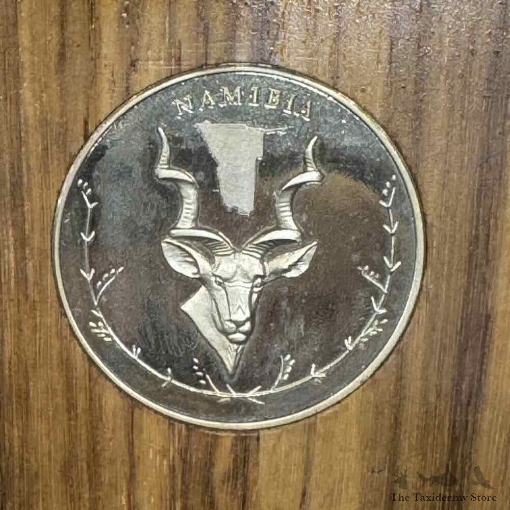 African Safari 6 Plaque Match Set Skulls and Horns For Sale #31656 @ The Taxidermy Store
