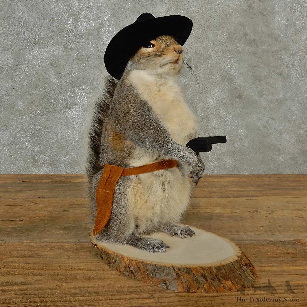 Cowboy Squirrel Novelty Mount For Sale #16811 @ The Taxidermy Store