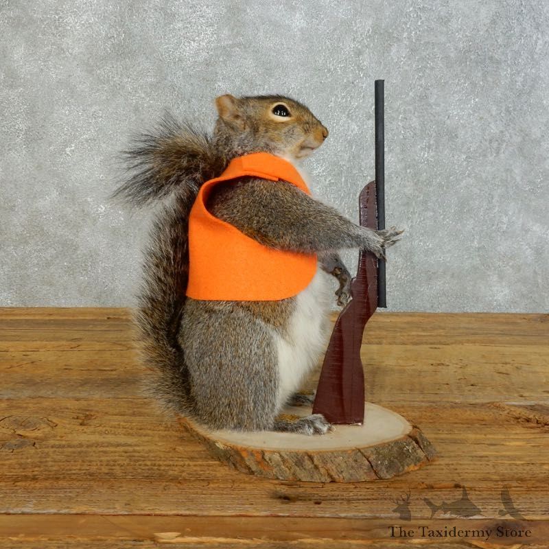 Hunting Squirrel Novelty Mount For Sale #18479 @ The Taxidermy Store