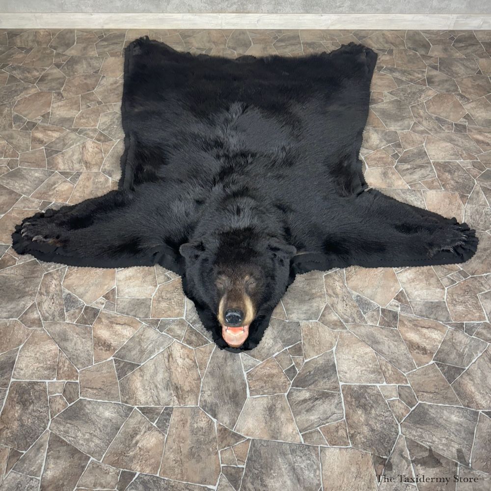 Black Bear Full-Size Rug For Sale #29299 @ The Taxidermy Store