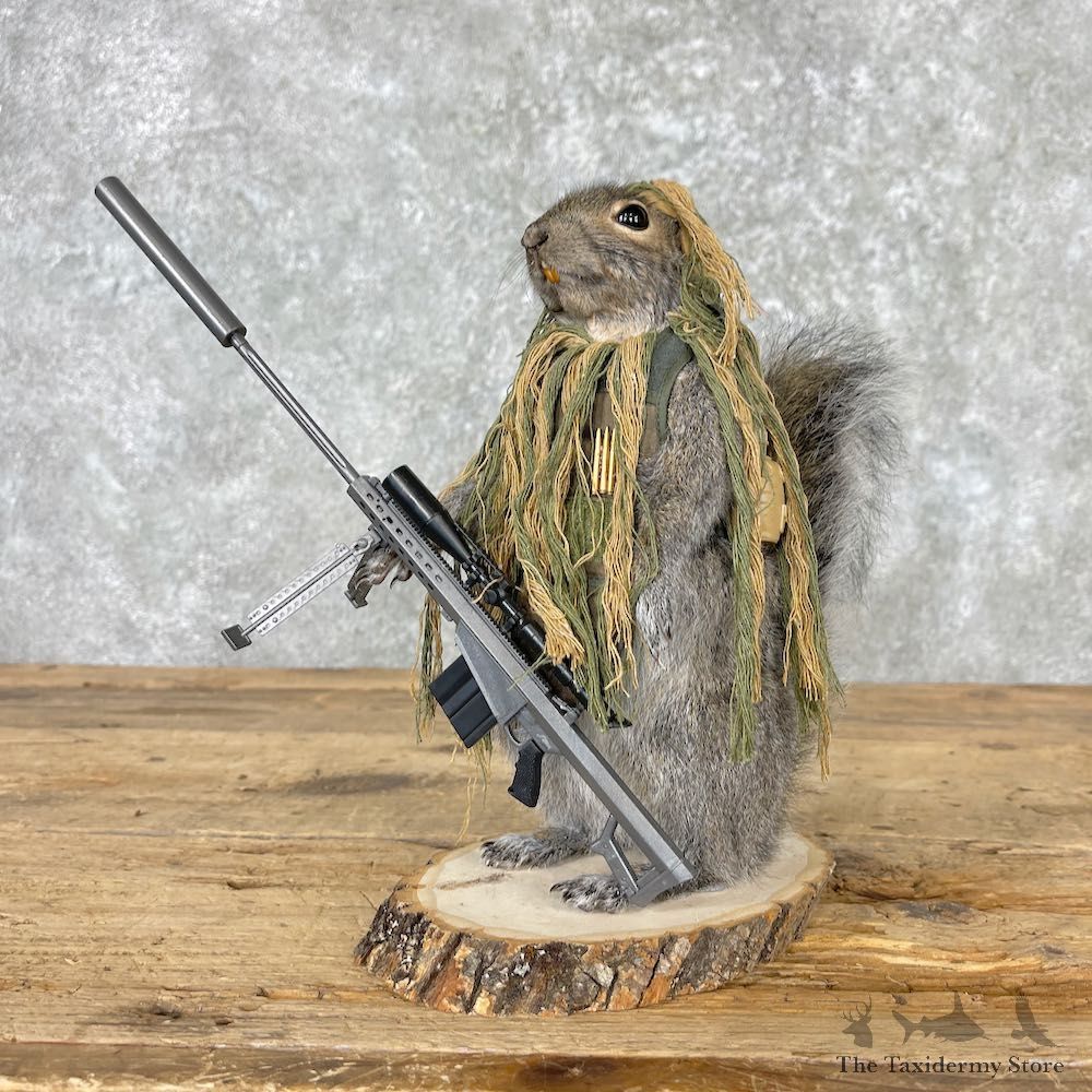 Patriot Sniper Squirrel Novelty Mount For Sale #27026 - The Taxidermy Store