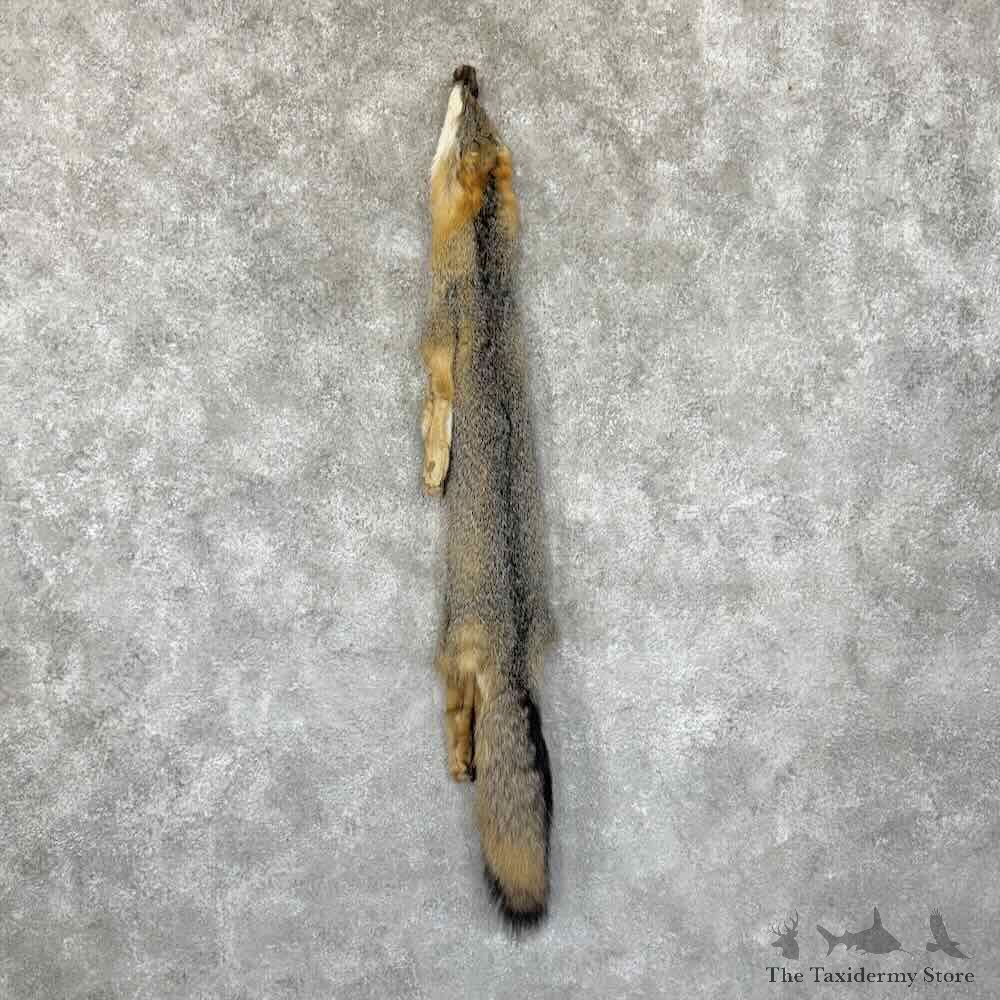 Grey Fox Tanned Hide For Sale #30958 @ The Taxidermy Store