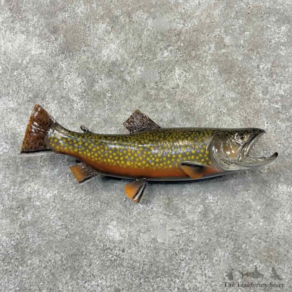 Brook Trout Fish Mount For Sale #32220 @ The Taxidermy Store