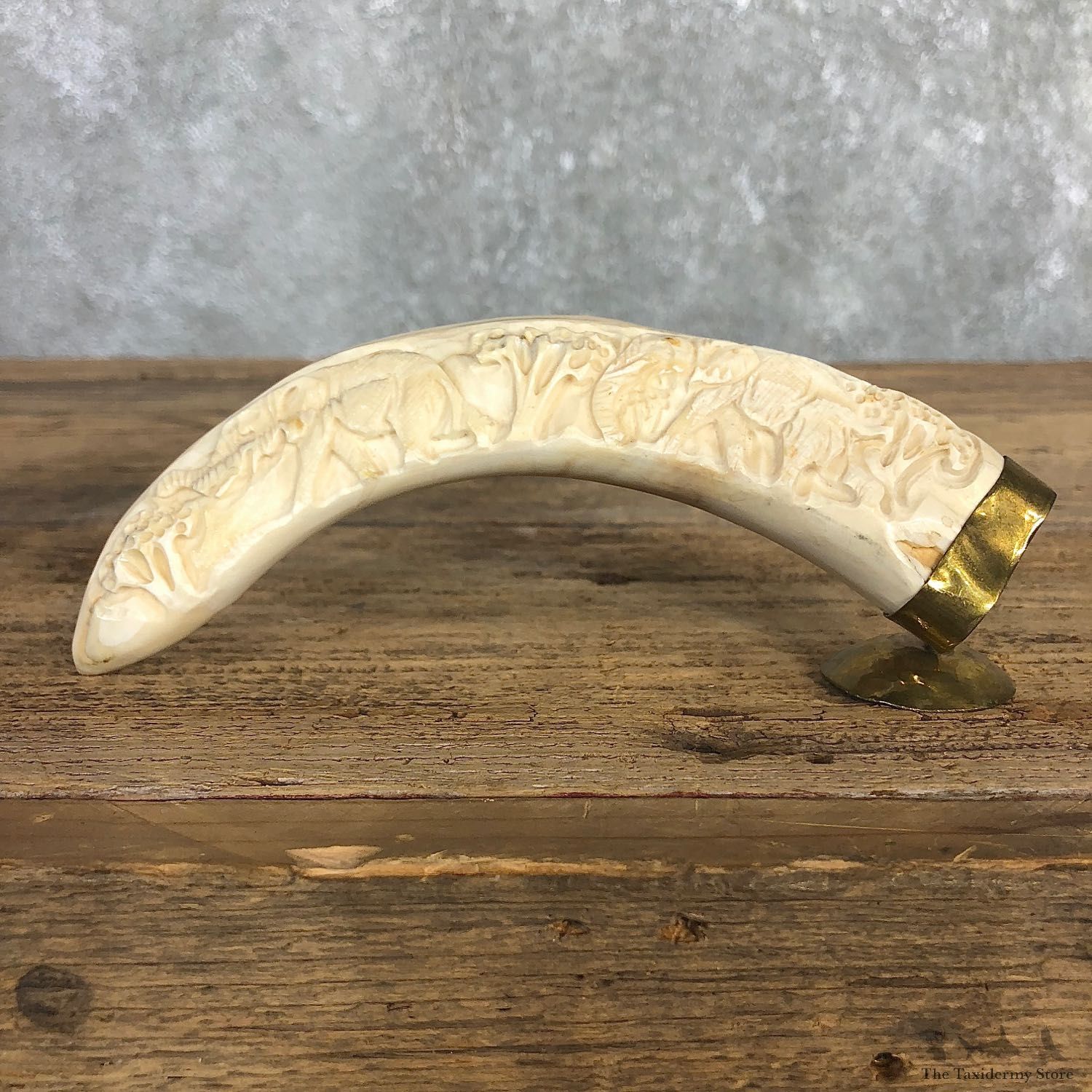 Carved Warthog Tooth For Sale #19968 @ The Taxidermy Store
