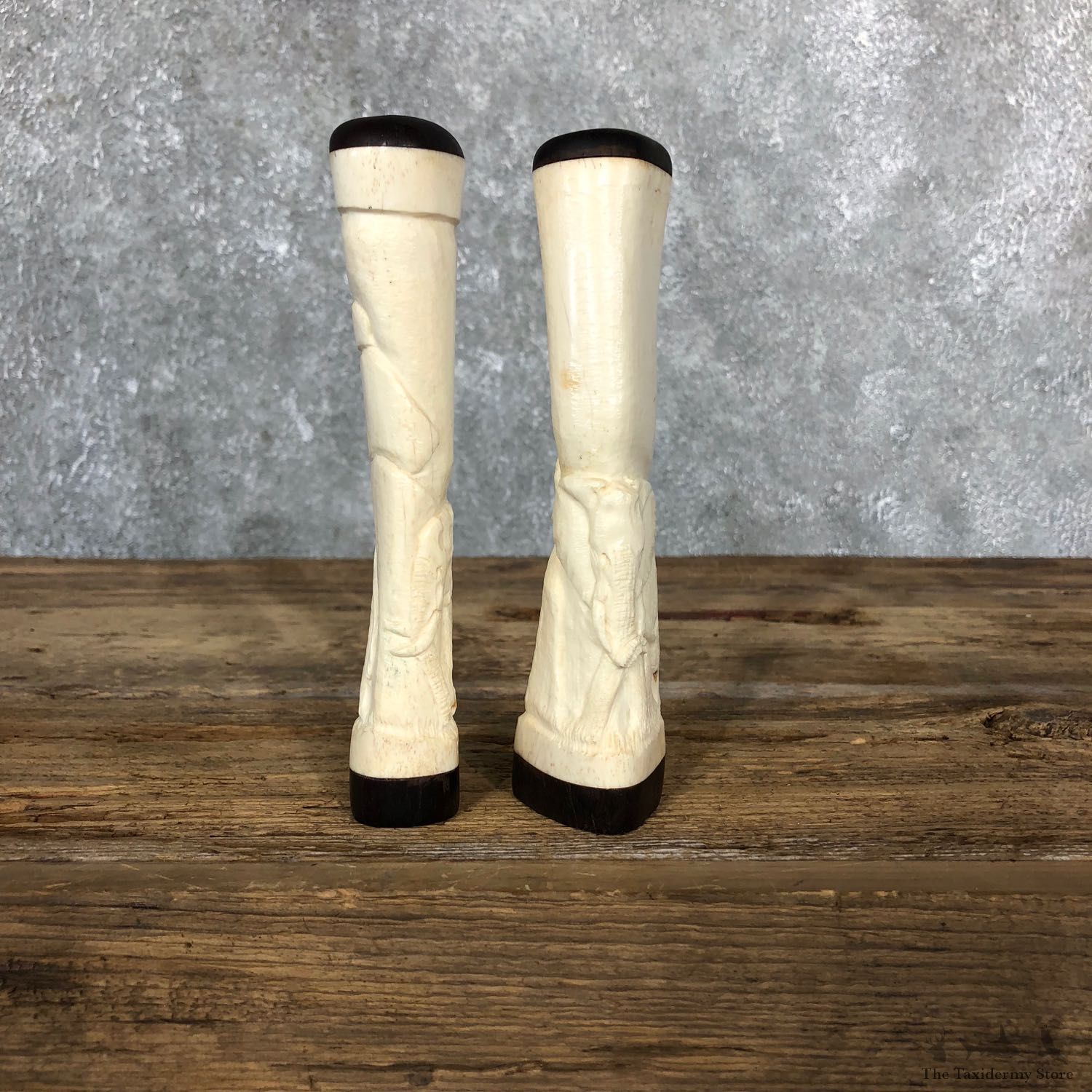 African Giraffe Bone Salt Shakers For Sale #19582 @ The Taxidermy Store