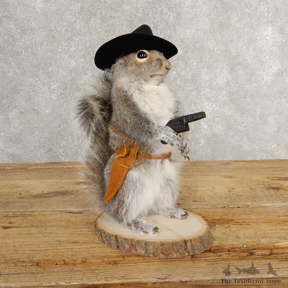 Cowboy Squirrel Novelty Mount For Sale #21021 @ The Taxidermy Store