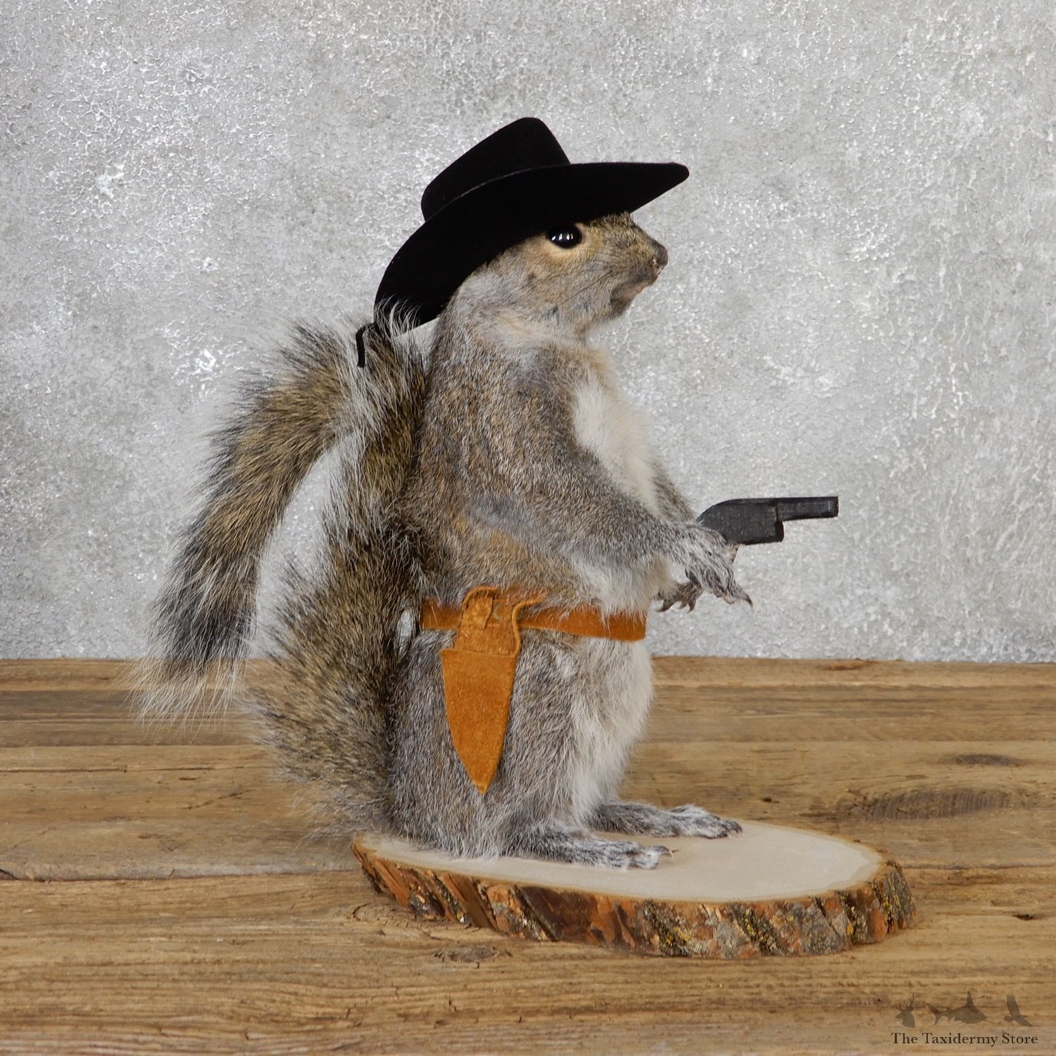 Cowboy Squirrel Novelty Mount For Sale #19068 @ The Taxidermy Store