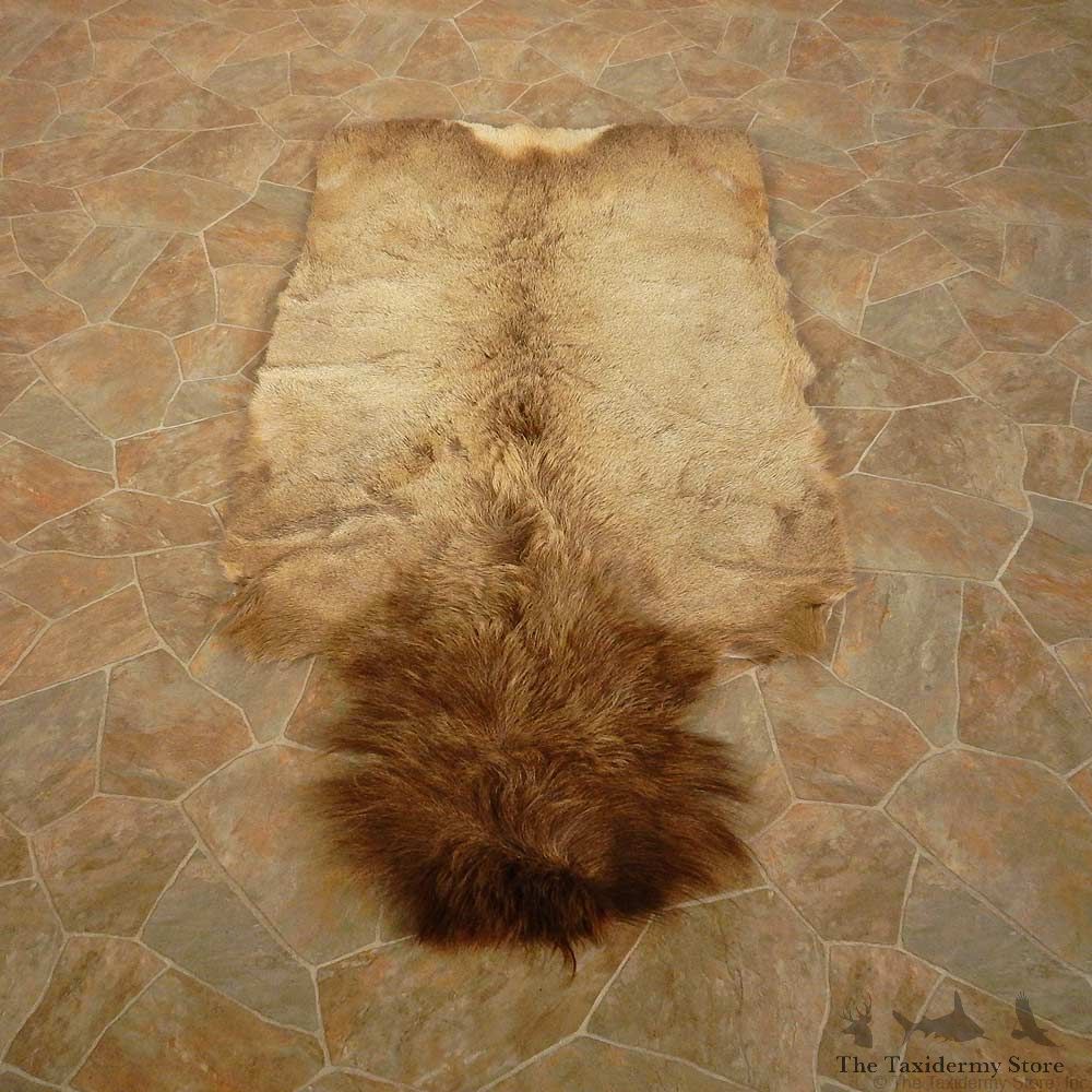 Bull Elk Hide Mount For Sale #14896 @ The Taxidermy Store