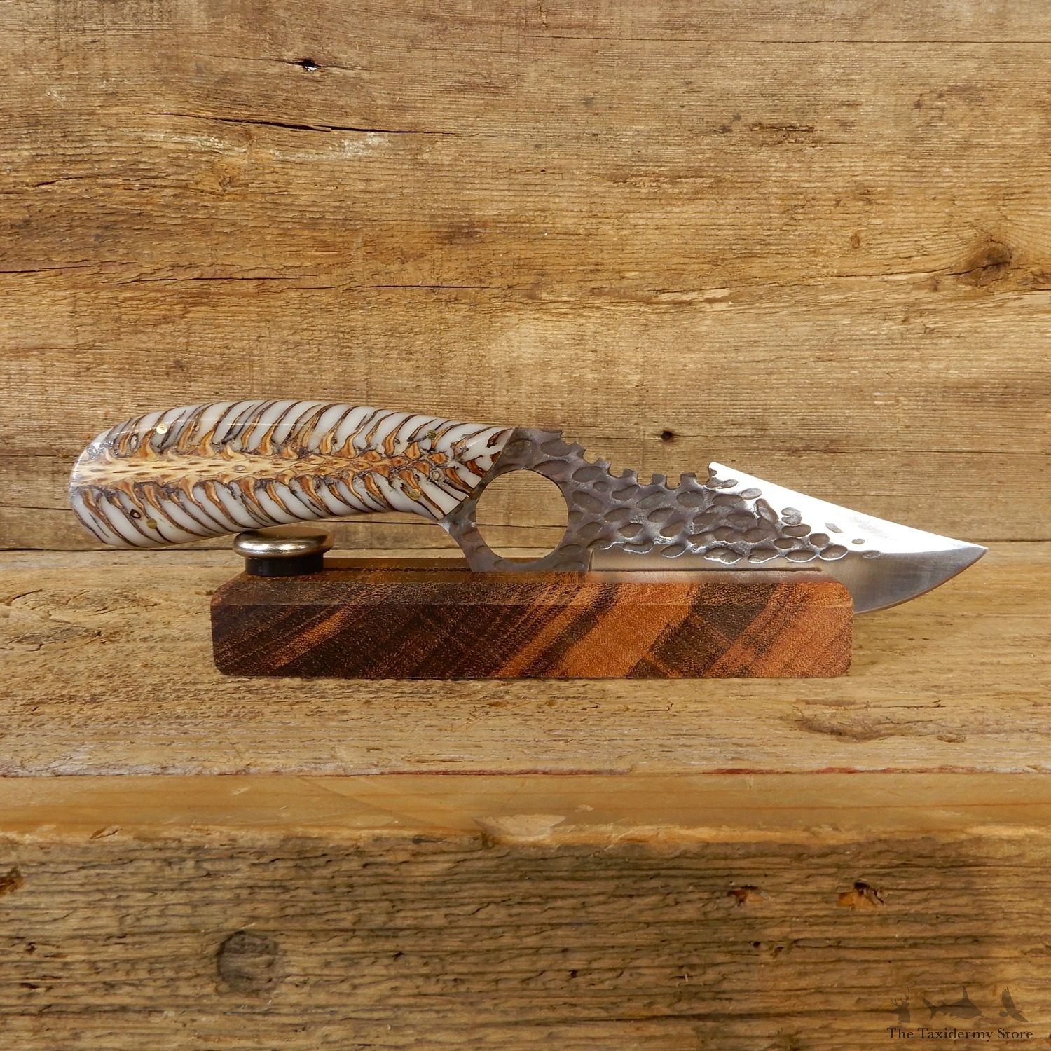 Kodiak XL Hunting Knife For Sale #19190 @ The Taxidermy Store