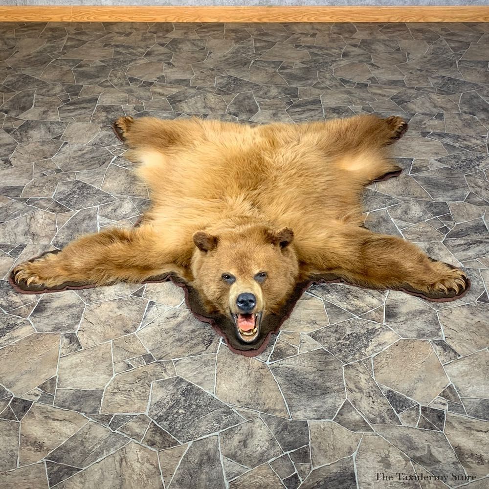 Cinnamon Phase Black Bear Full-Size Rug For Sale #22105 @ The Taxidermy Store