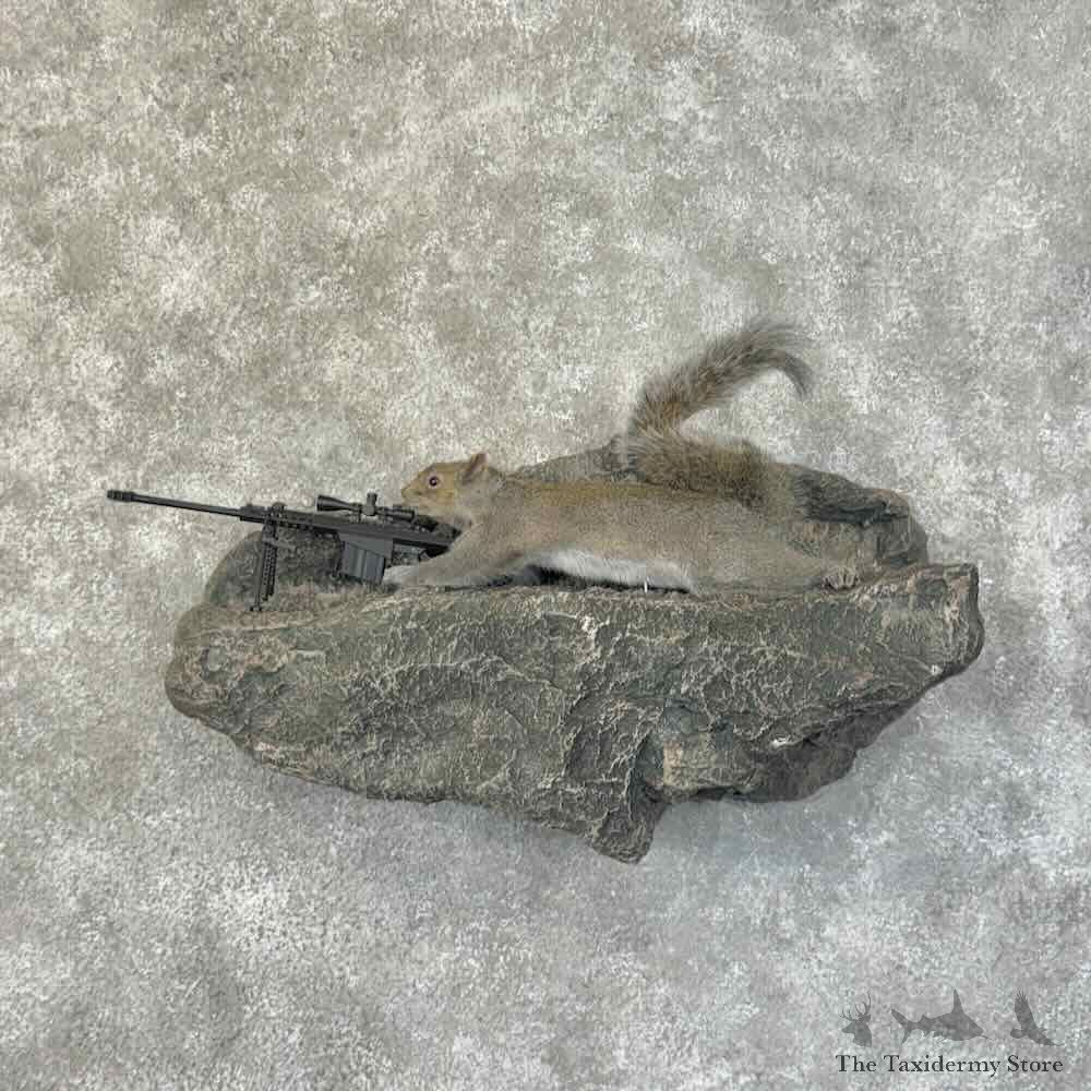 Sniper Squirrel Novelty Mount For Sale #31470 @ The Taxidermy Store