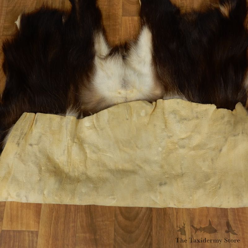 Himalayan Tahr Hide Taxidermy Rug Mount #17452 For Sale @ The Taxidermy Store