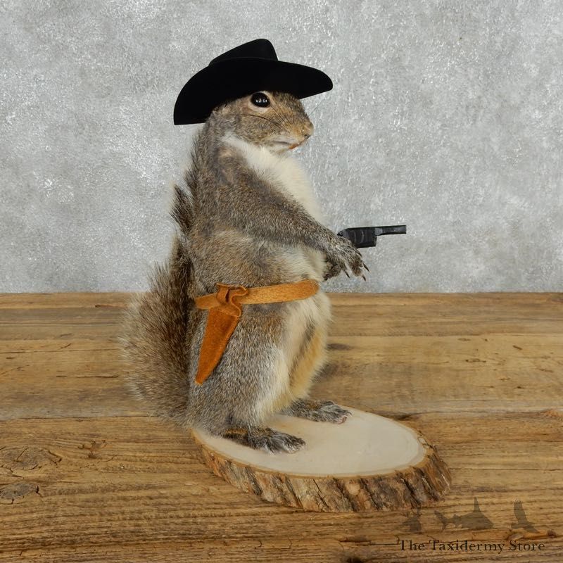 Cowboy Squirrel Novelty Mount For Sale #18191 @ The Taxidermy Store