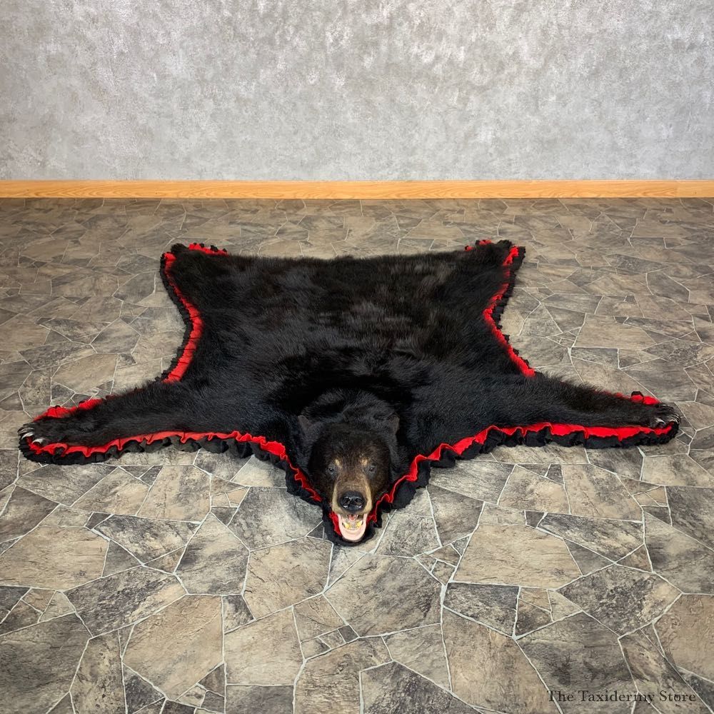 Black Bear Full-Size Rug For Sale #22536 @ The Taxidermy Store