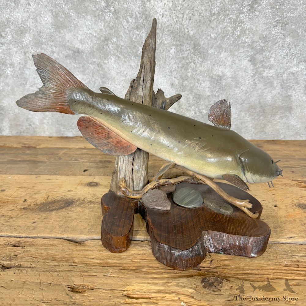 Wooden Bullhead Carving Fish Decor For Sale #29527 @ The Taxidermy Store