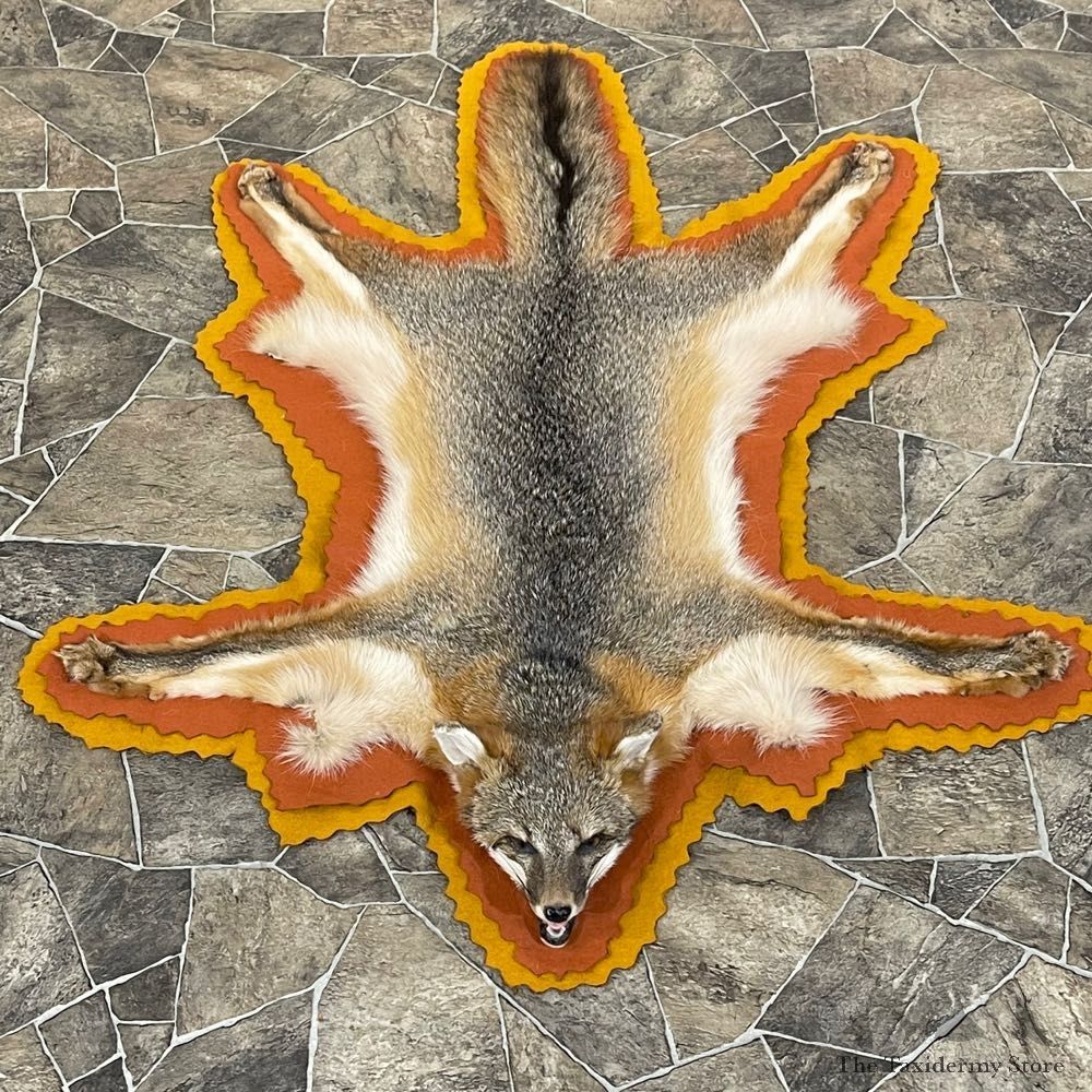 Grey Fox Full-Size Rug For Sale #24608 @ The Taxidermy Store