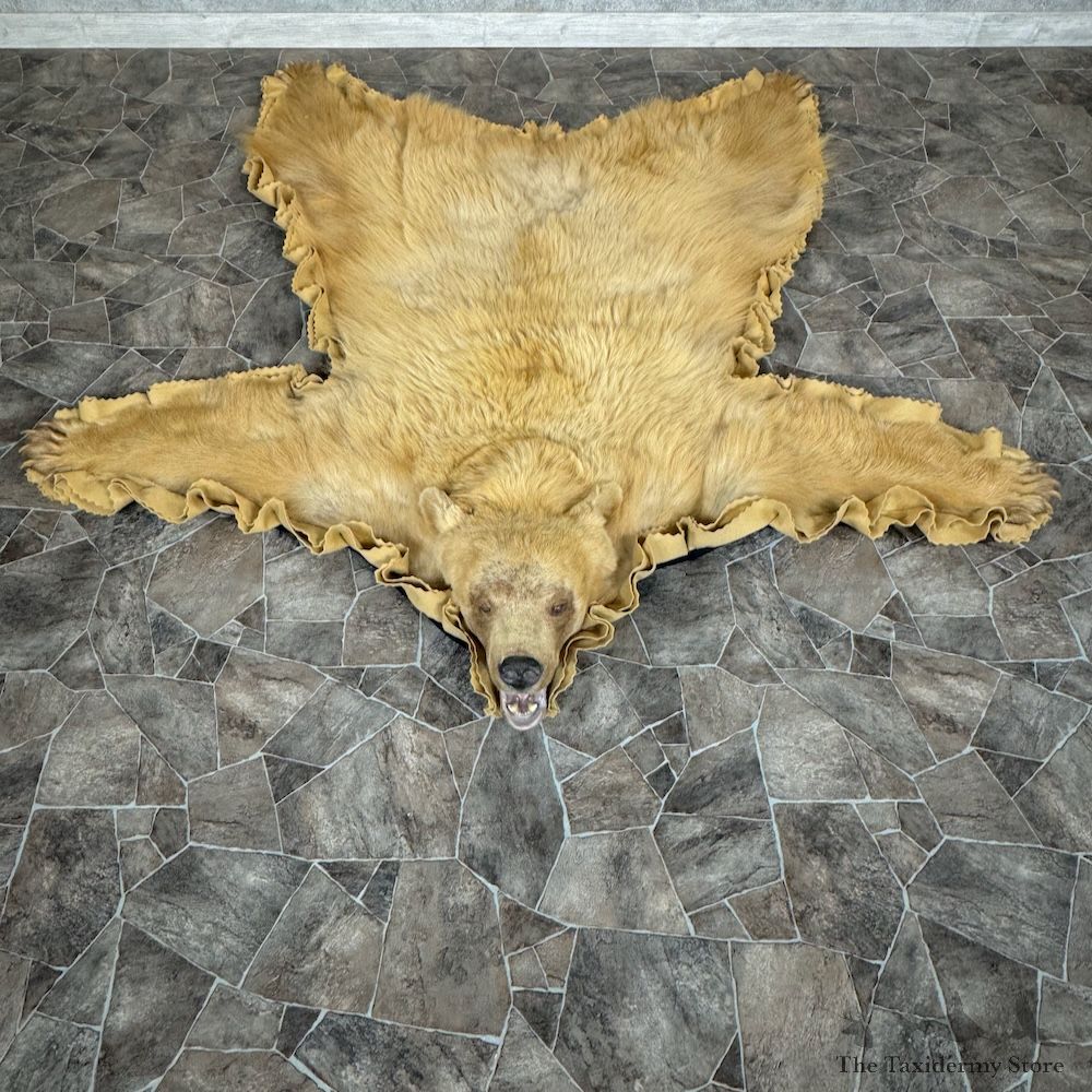 Black Bear Full-Size Rug For Sale #29319 @ The Taxidermy Store
