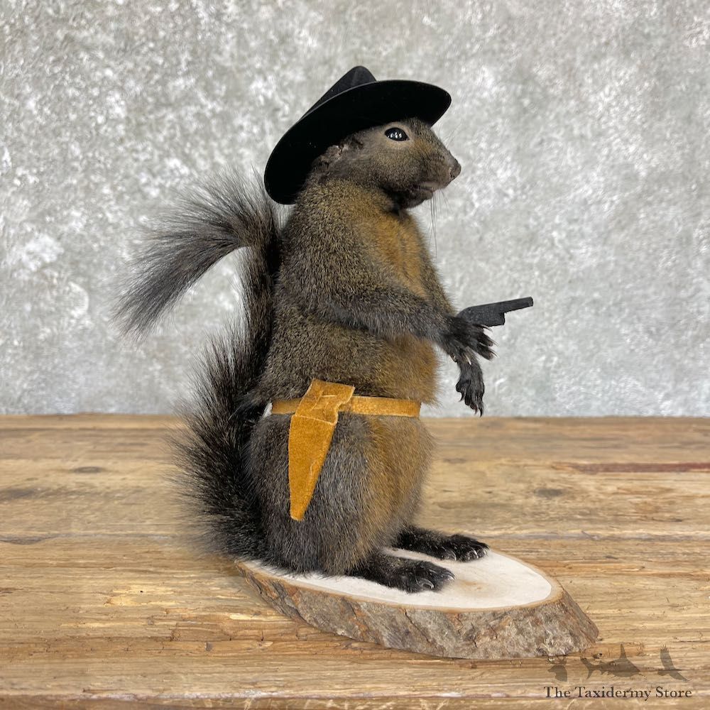 Cowboy Squirrel Novelty Mount For Sale #26394 @ The Taxidermy Store