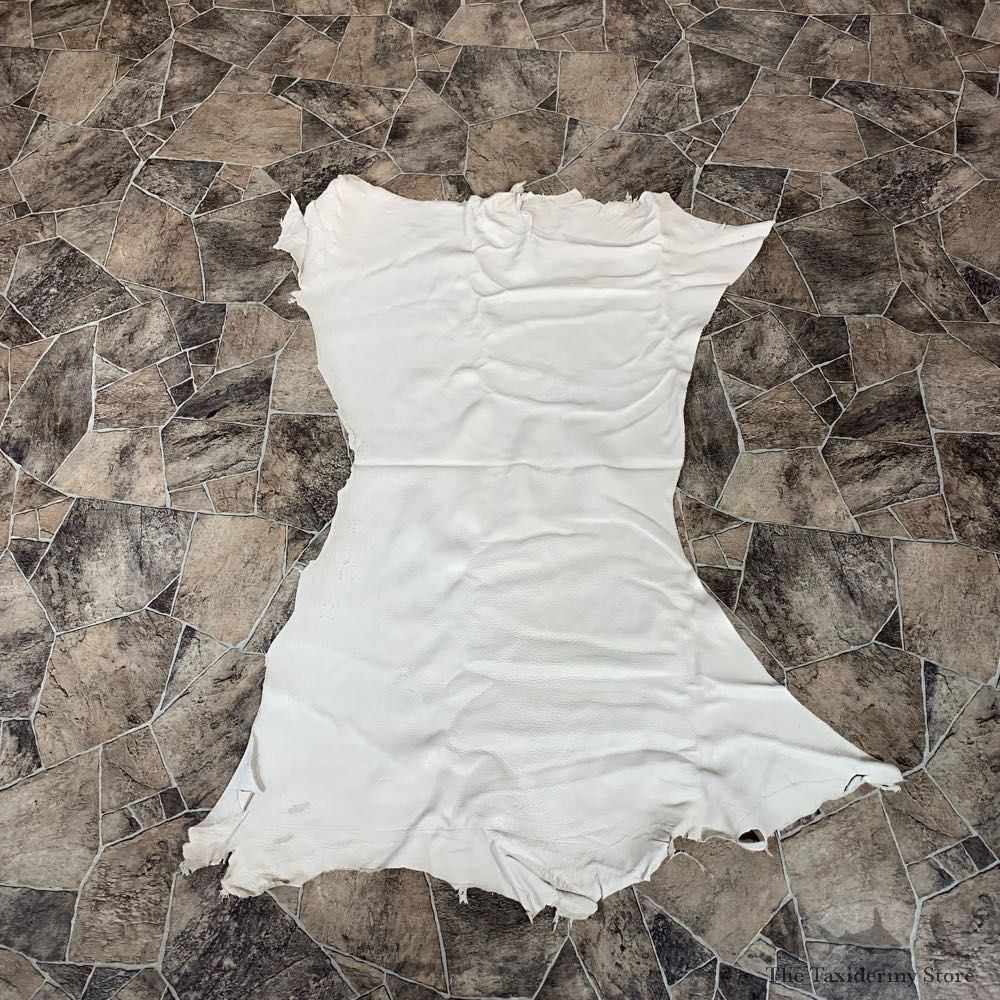 Buckskin Soft Tan Leather For Sale #22028 @ The Taxidermy Store