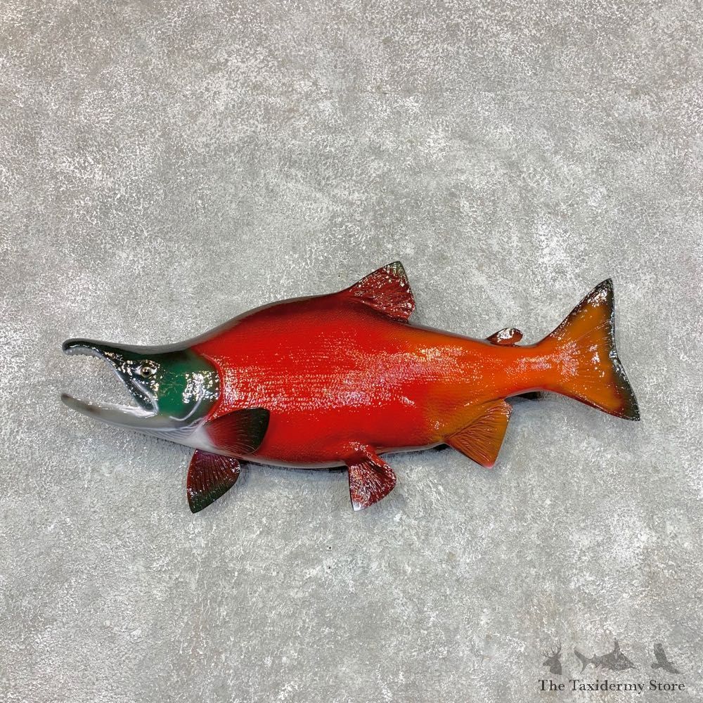 Sockeye Salmon Fish Mount For Sale #22486 @ The Taxidermy Store