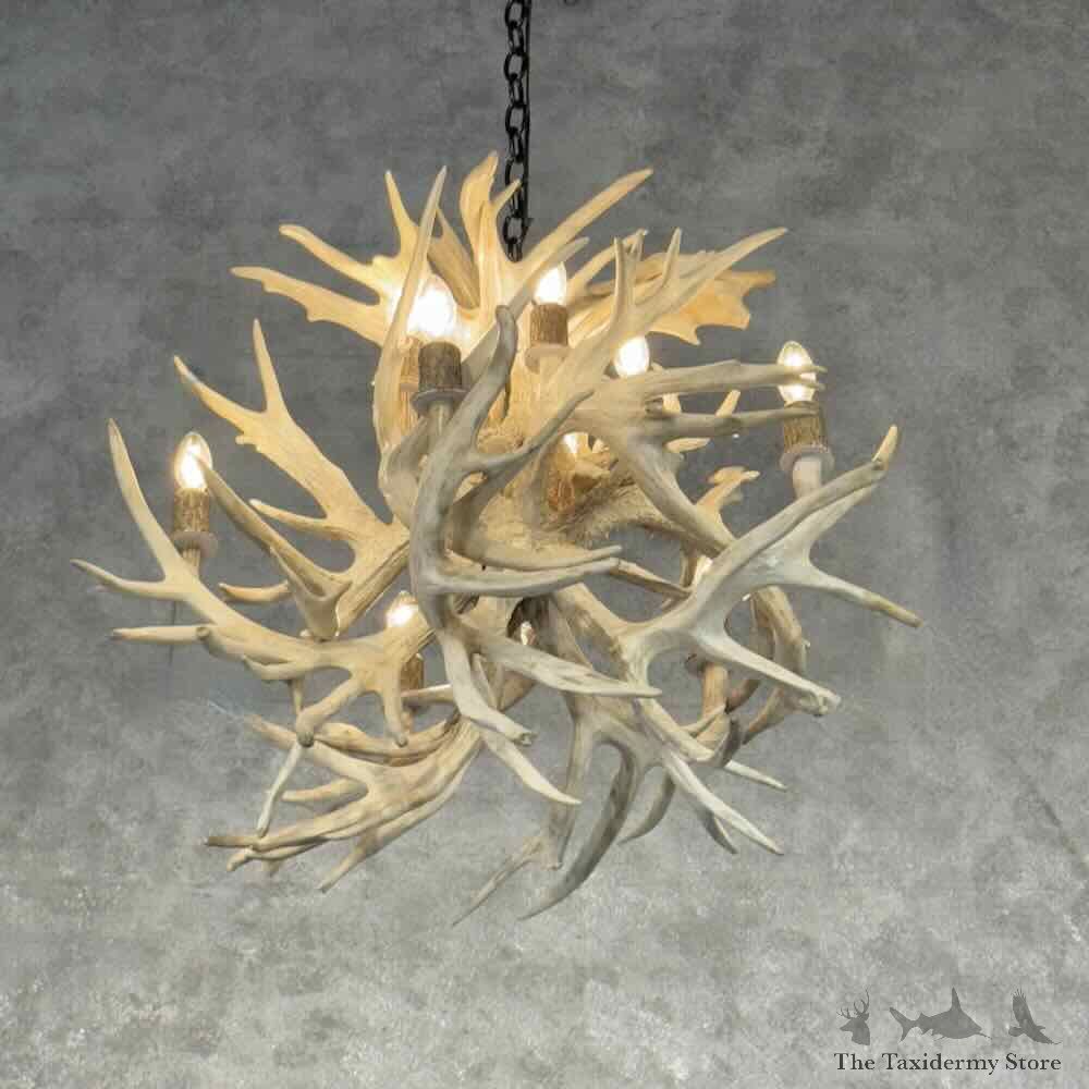 Whitetail Deer Antler Chandelier For Sale #30672 @ The Taxidermy Store