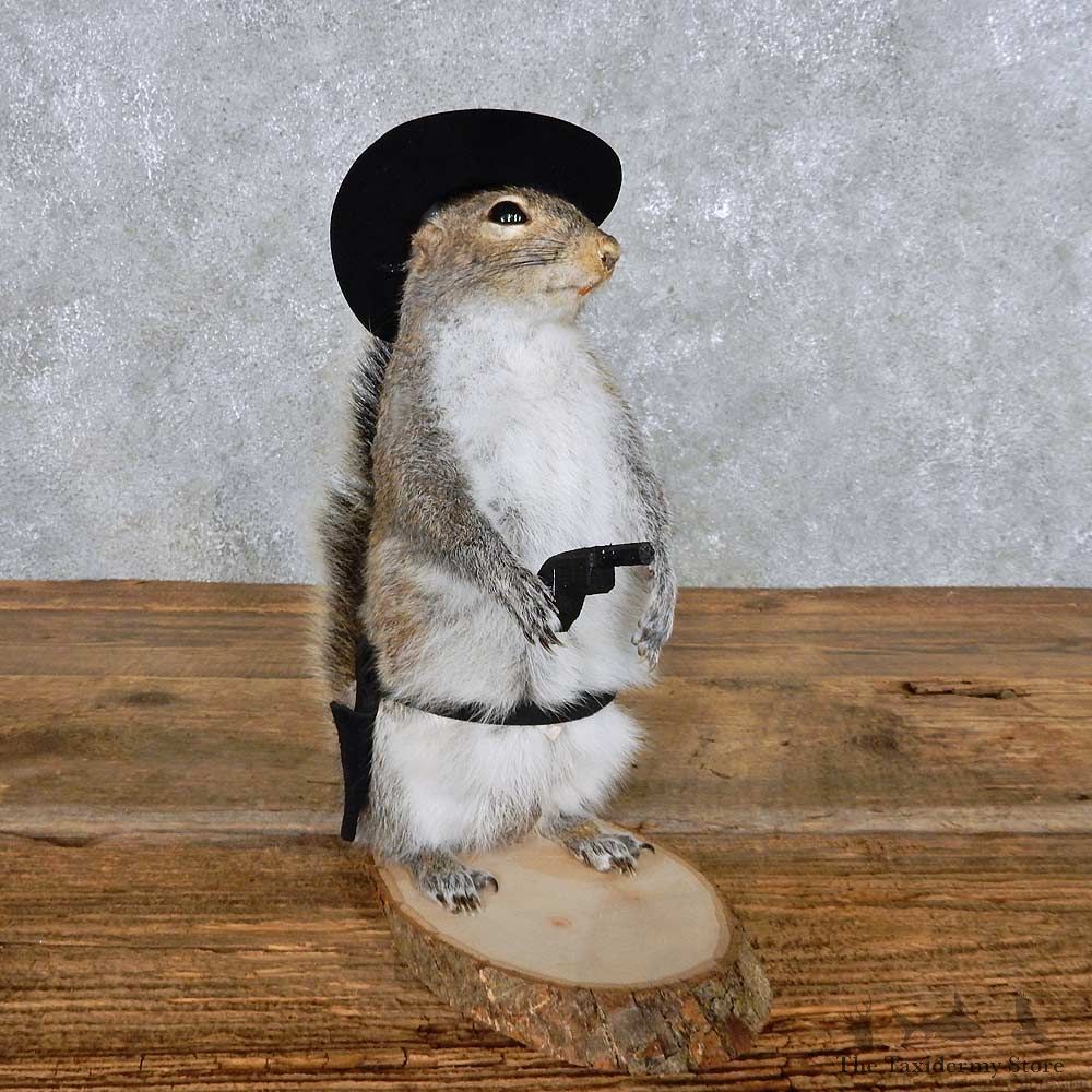 Novelty Cowboy Squirrel Mount For Sale #14403 @ The Taxidermy Store