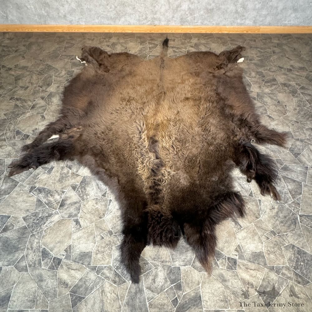 American Buffalo Bison Hide For Sale #28827 - The Taxidermy Store