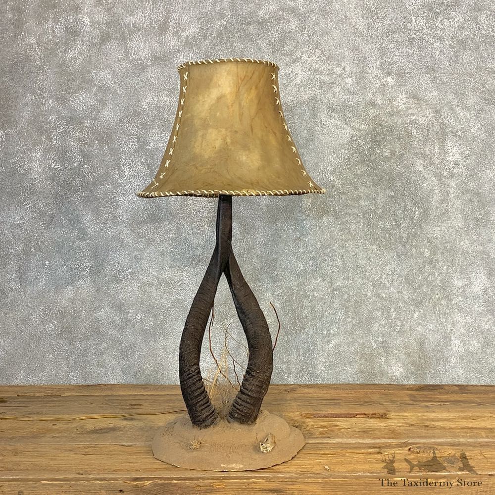 Nyala Horn Lamp For Sale #21283 @ The Taxidermy Store