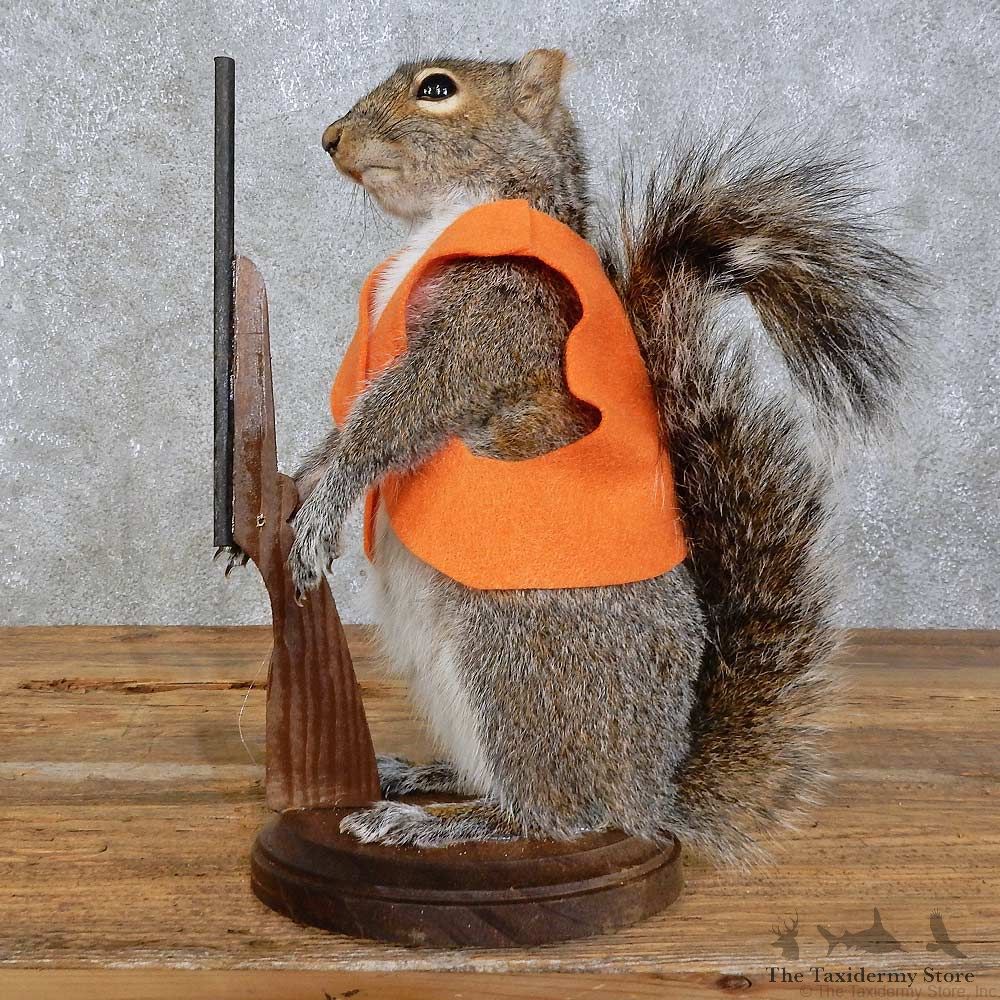 Hunting Squirrel Novelty Mount For Sale #15944 @ The Taxidermy Store
