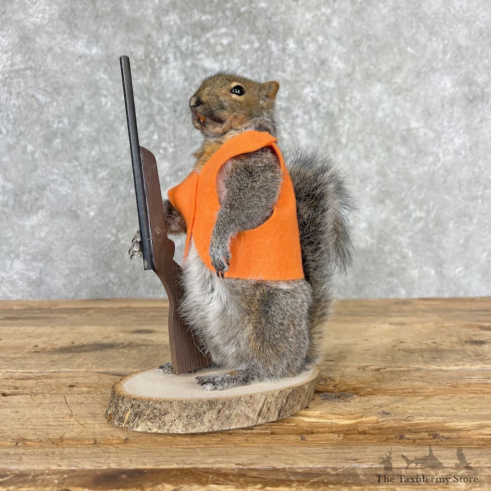 Hunting Squirrel Novelty Mount For Sale #27014 @ The Taxidermy Store