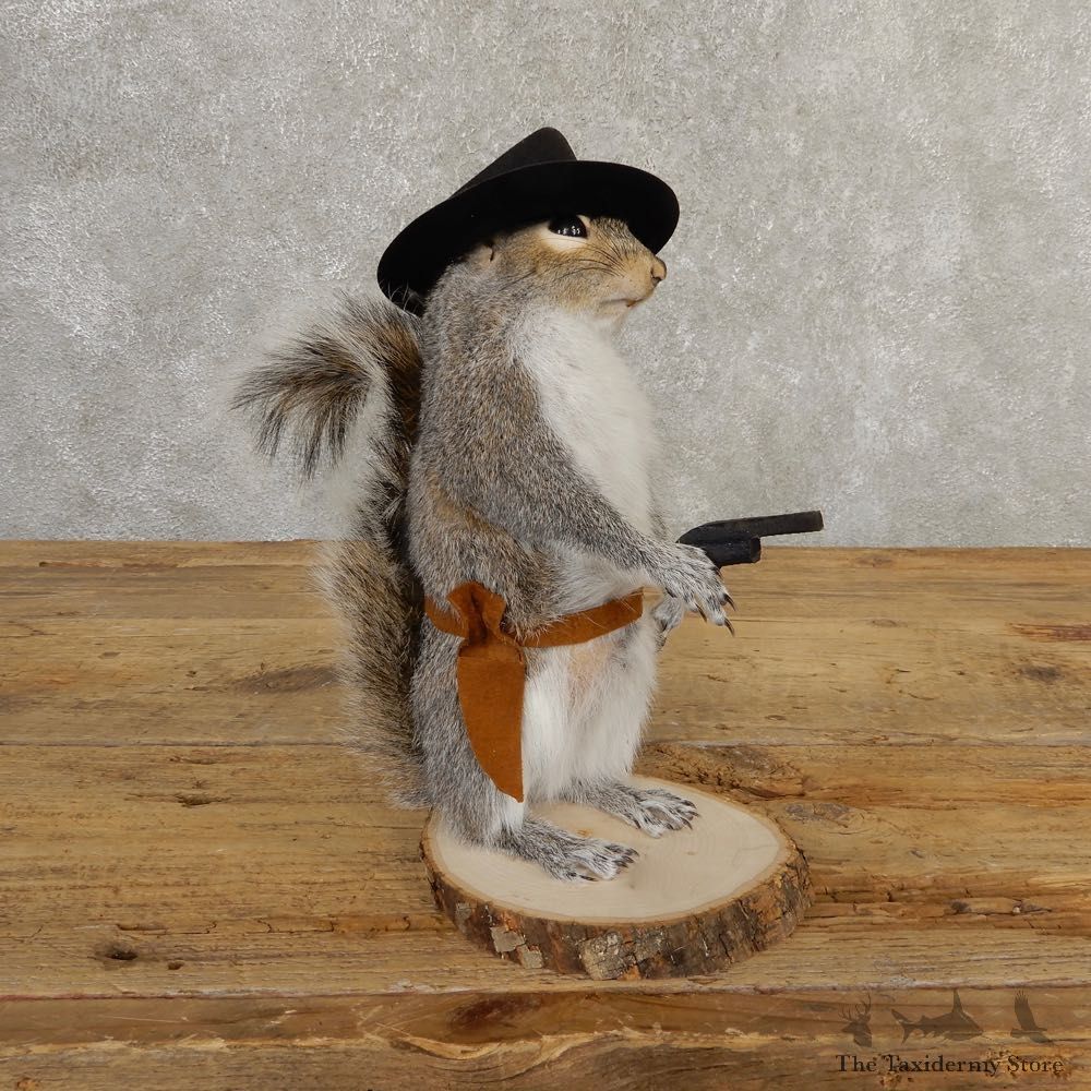 Cowboy Squirrel Novelty Mount For Sale #20710 @ The Taxidermy Store