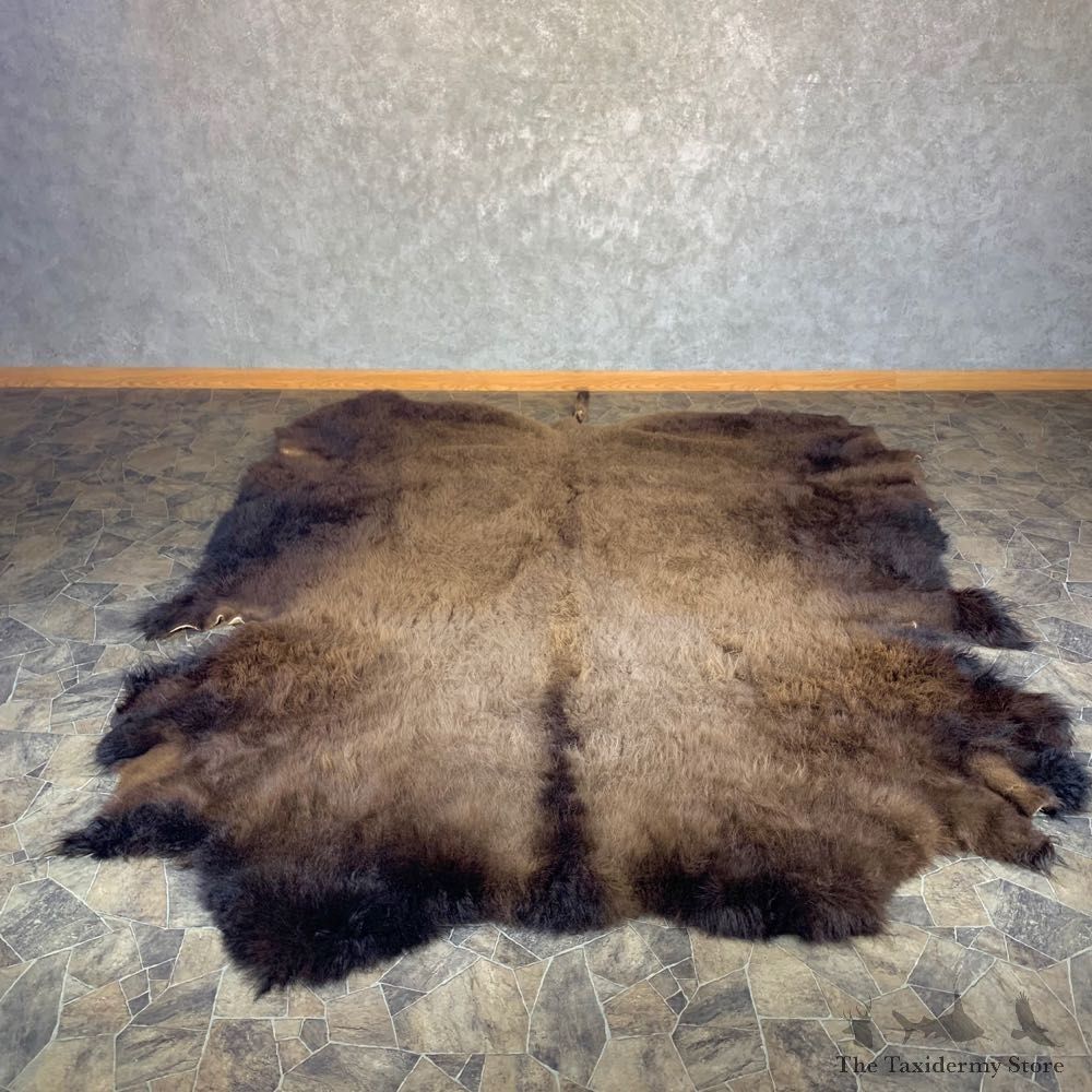 American Buffalo Bison Taxidermy Hide For Sale #23996 - The Taxidermy Store