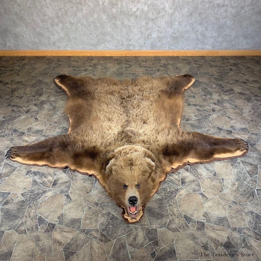 Grizzly Bear Taxidermy Rug Mount For Sale #24010 @ The Taxidermy Store