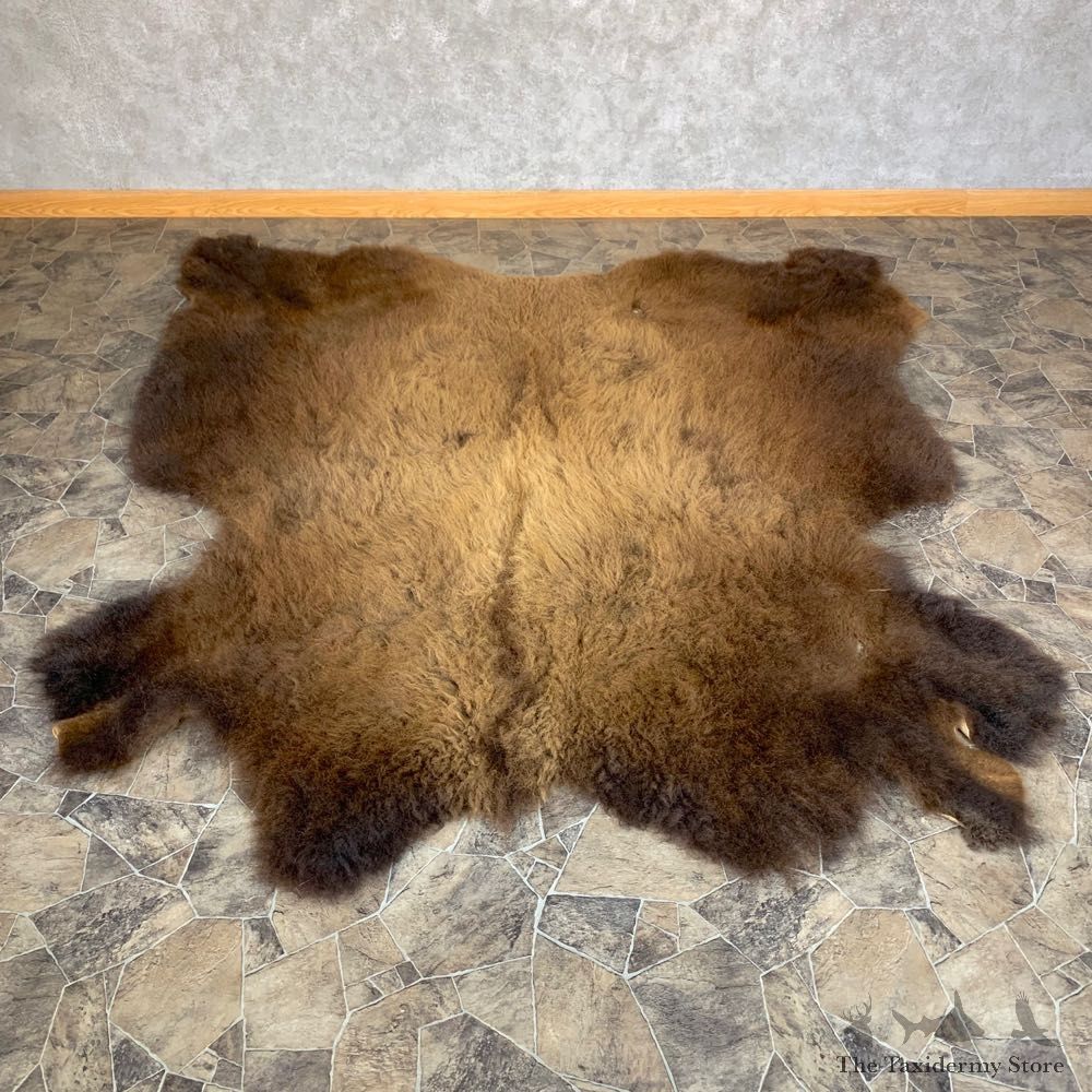 American Buffalo Bison Taxidermy Hide For Sale #23316 - The Taxidermy Store