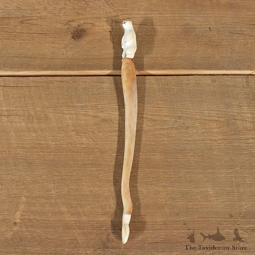 Authentic Native Carved Ivory Oosik Stir Stick #12102 For Sale @ The Taxidermy Store