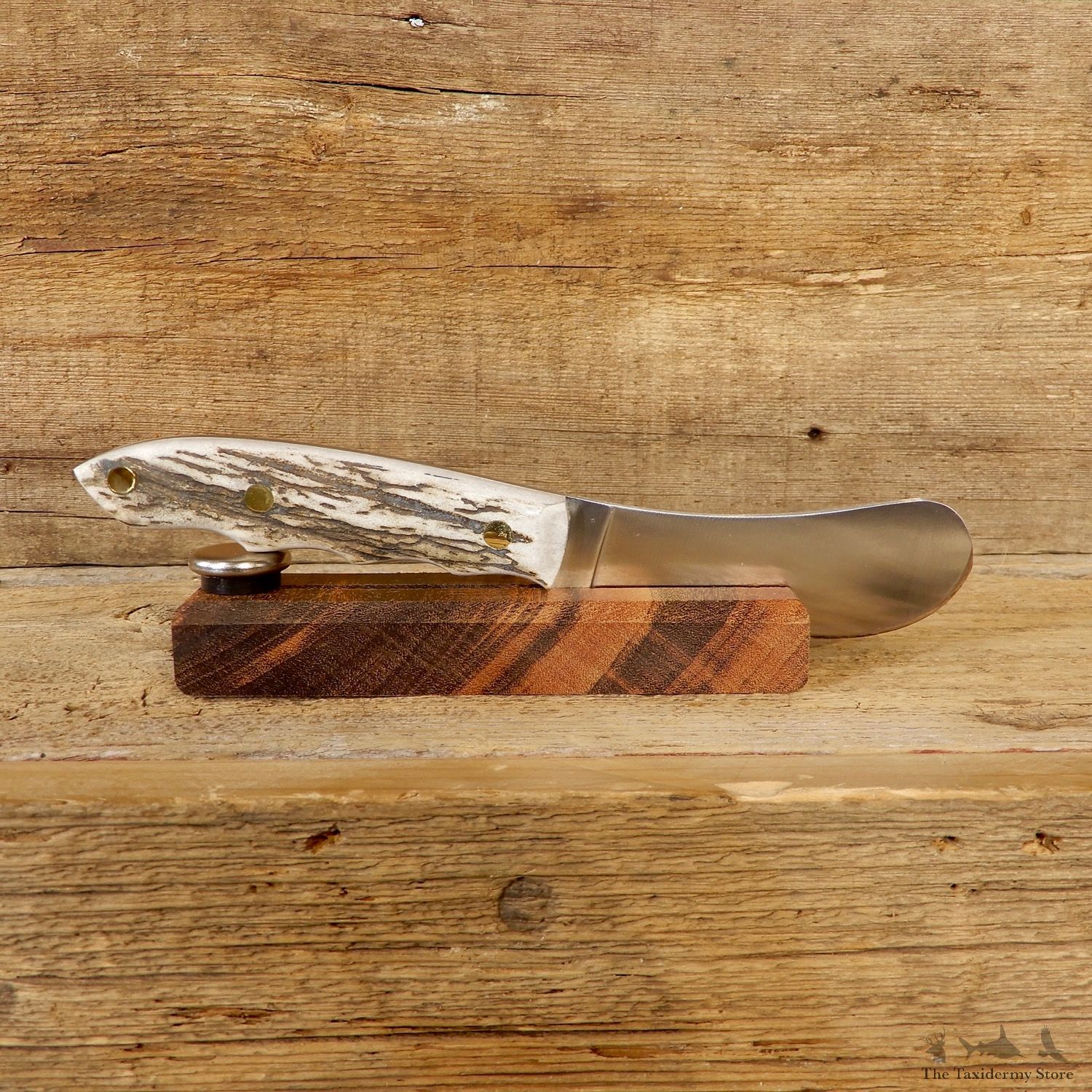 Beavertail Trapper Skinning Knife For Sale #19182 @ The Taxidermy Store