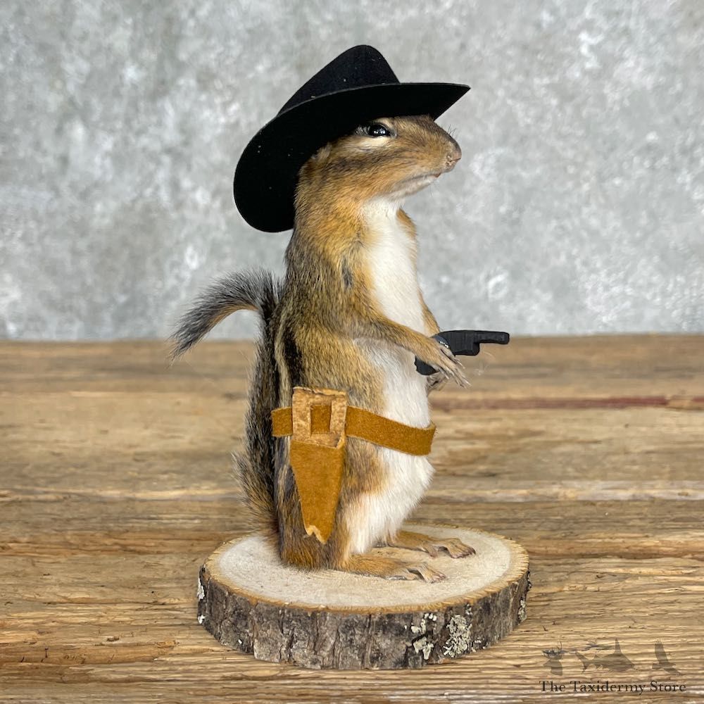 Cowboy Chipmunk Novelty Mount For Sale #25529 @ The Taxidermy Store