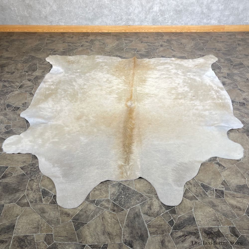 Tanned Cowhide Taxidermy Skin For Sale #26284 @ The Taxidermy Store