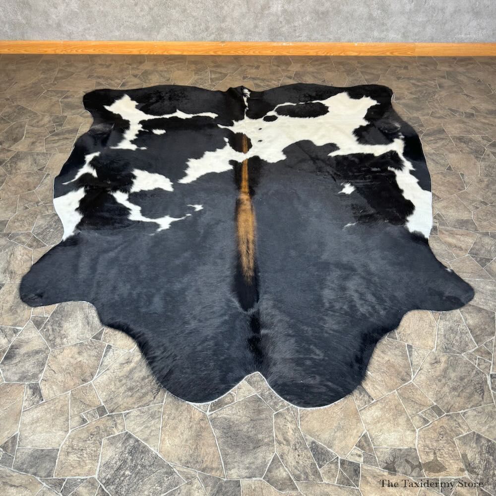 Black and White Cowhide Skin For Sale #28835 @ The Taxidermy Store