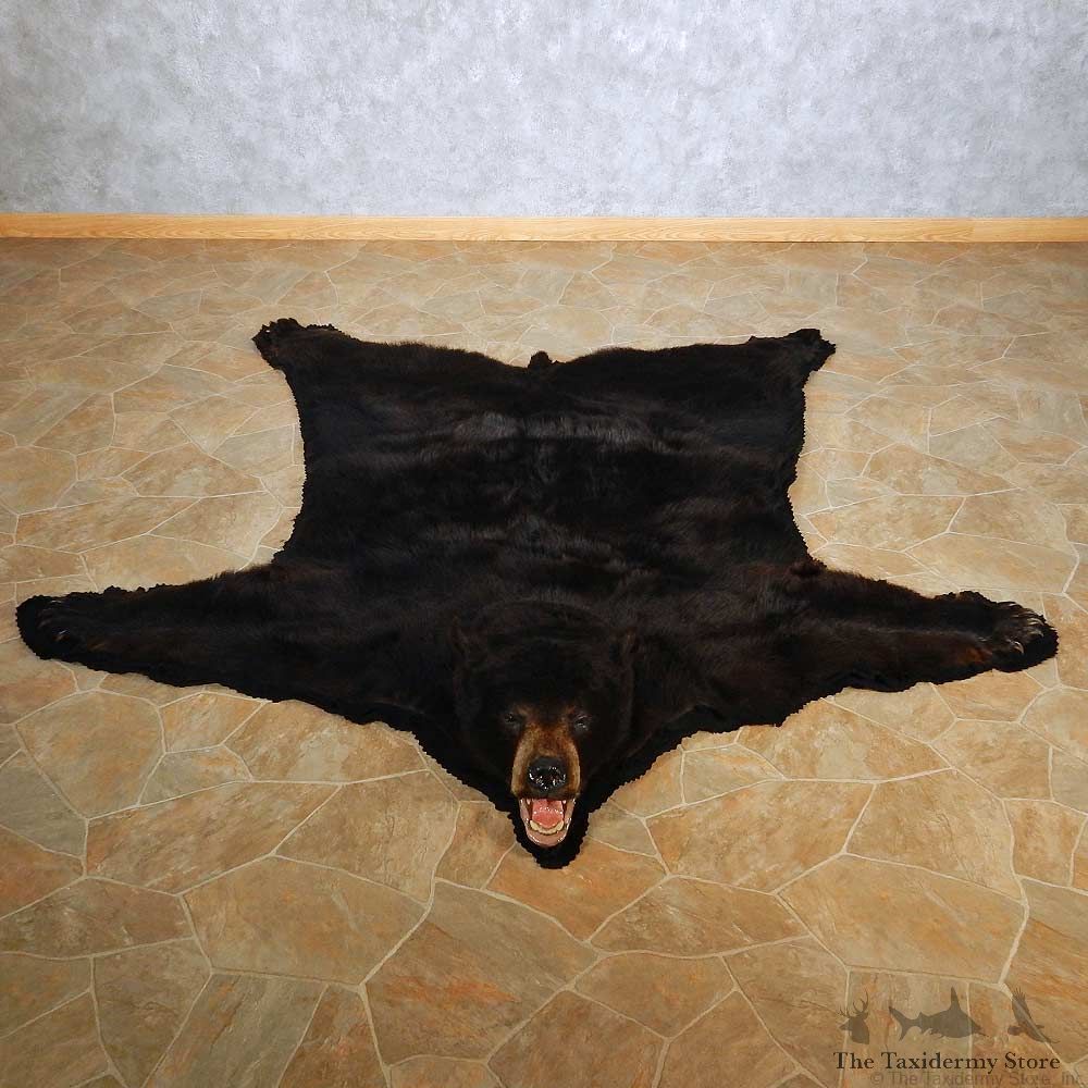 Black Bear Full Size Rug For Sale #14602 @ The Taxidermy Store