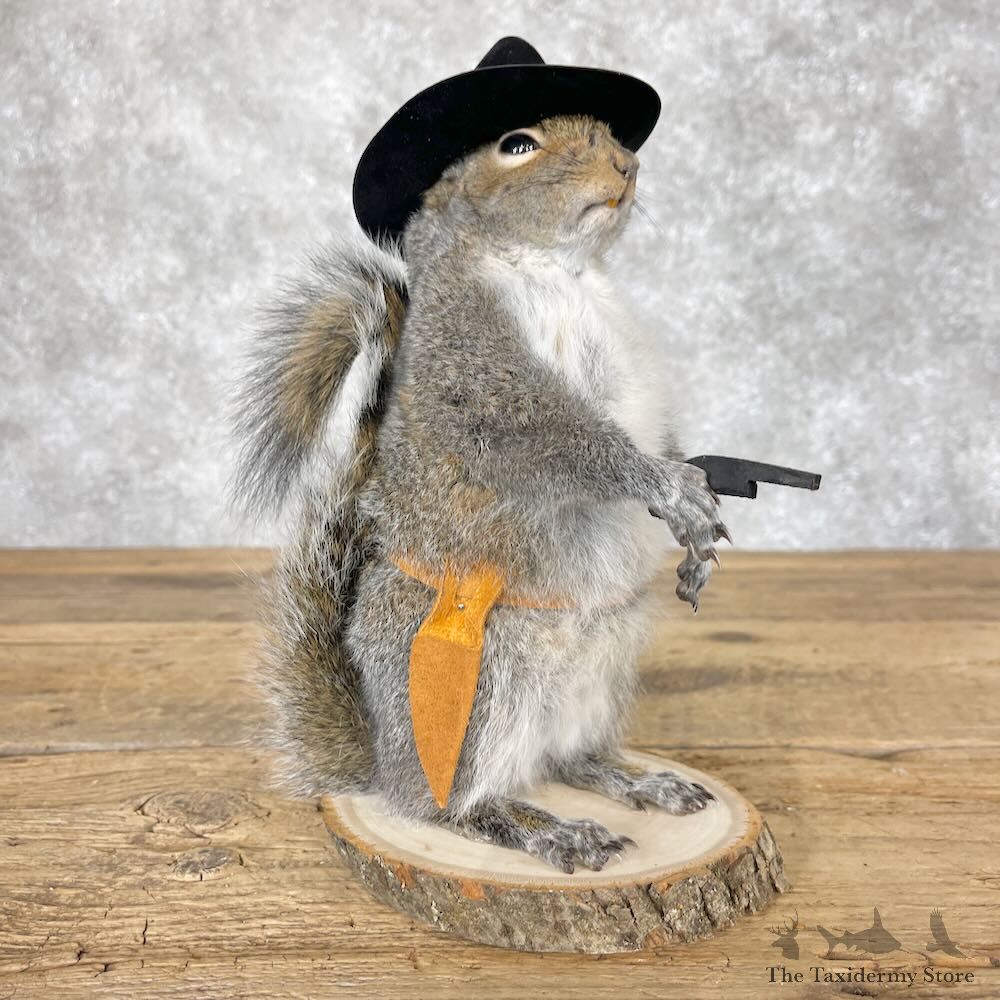 Cowboy Squirrel Novelty Mount For Sale #28608 @ The Taxidermy Store
