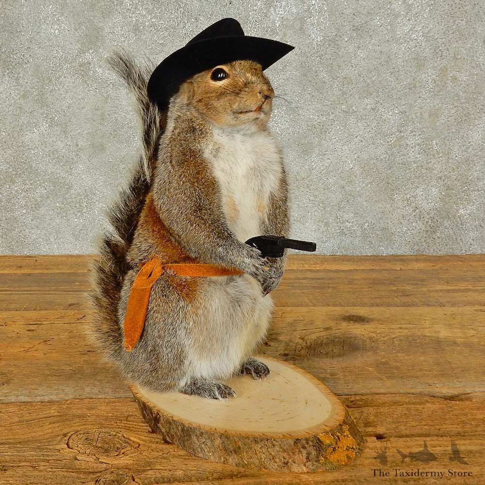 Cowboy Squirrel Novelty Mount For Sale #16309 @ The Taxidermy Store