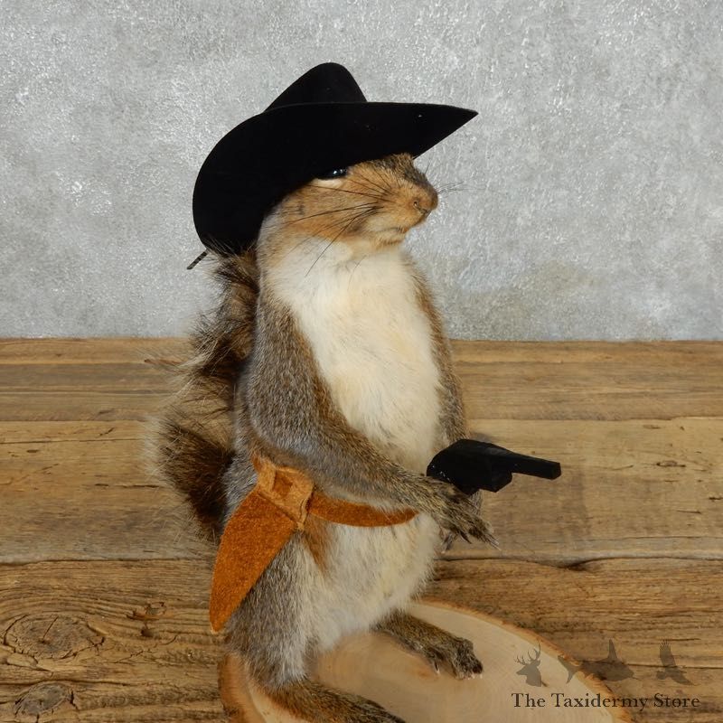 Cowboy Squirrel Novelty Mount For Sale #18192 @ The Taxidermy Store
