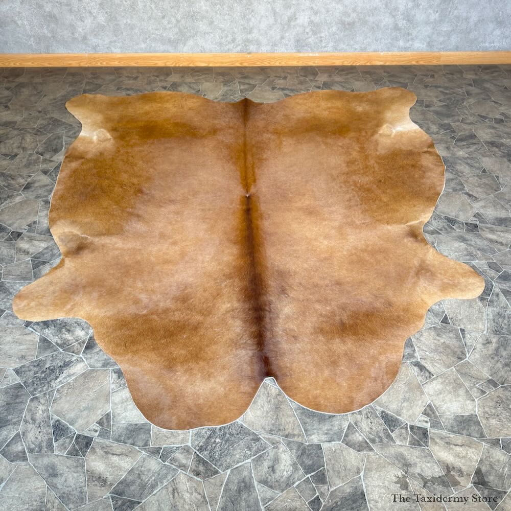 Brown Cowhide Skin For Sale #28832 @ The Taxidermy Store