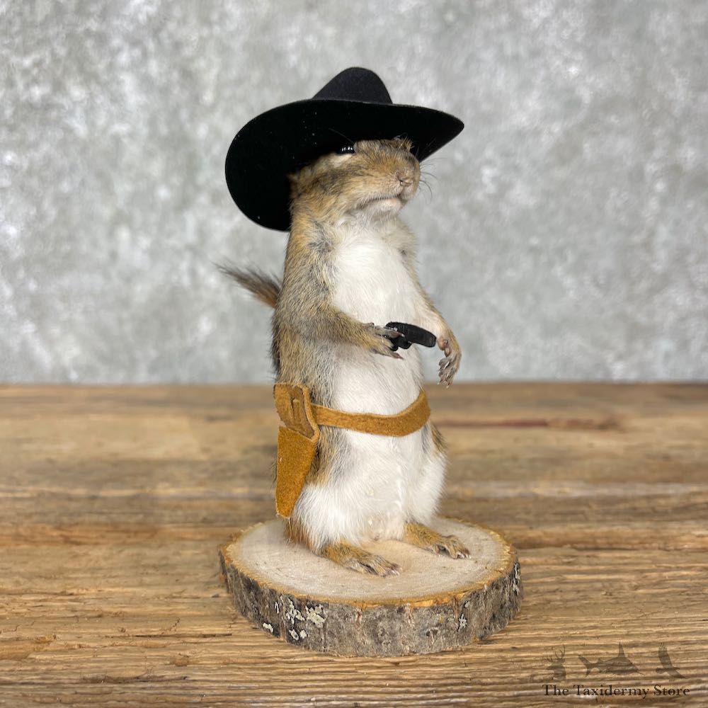 Cowboy Chipmunk Novelty Mount For Sale #25525 @ The Taxidermy Store