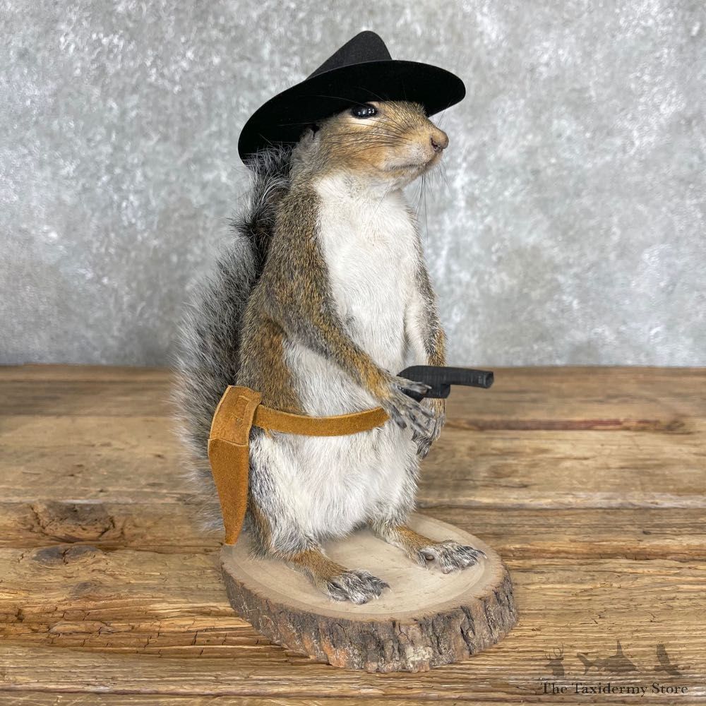 Cowboy Squirrel Novelty Mount For Sale #24352 @ The Taxidermy Store