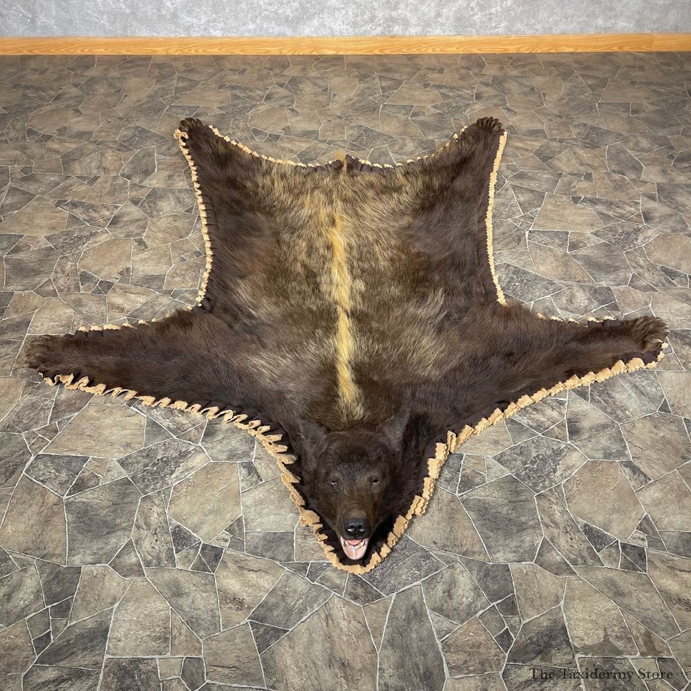 Chocolate Phase Black Bear Full-Size Rug For Sale #24179 @ The Taxidermy Store