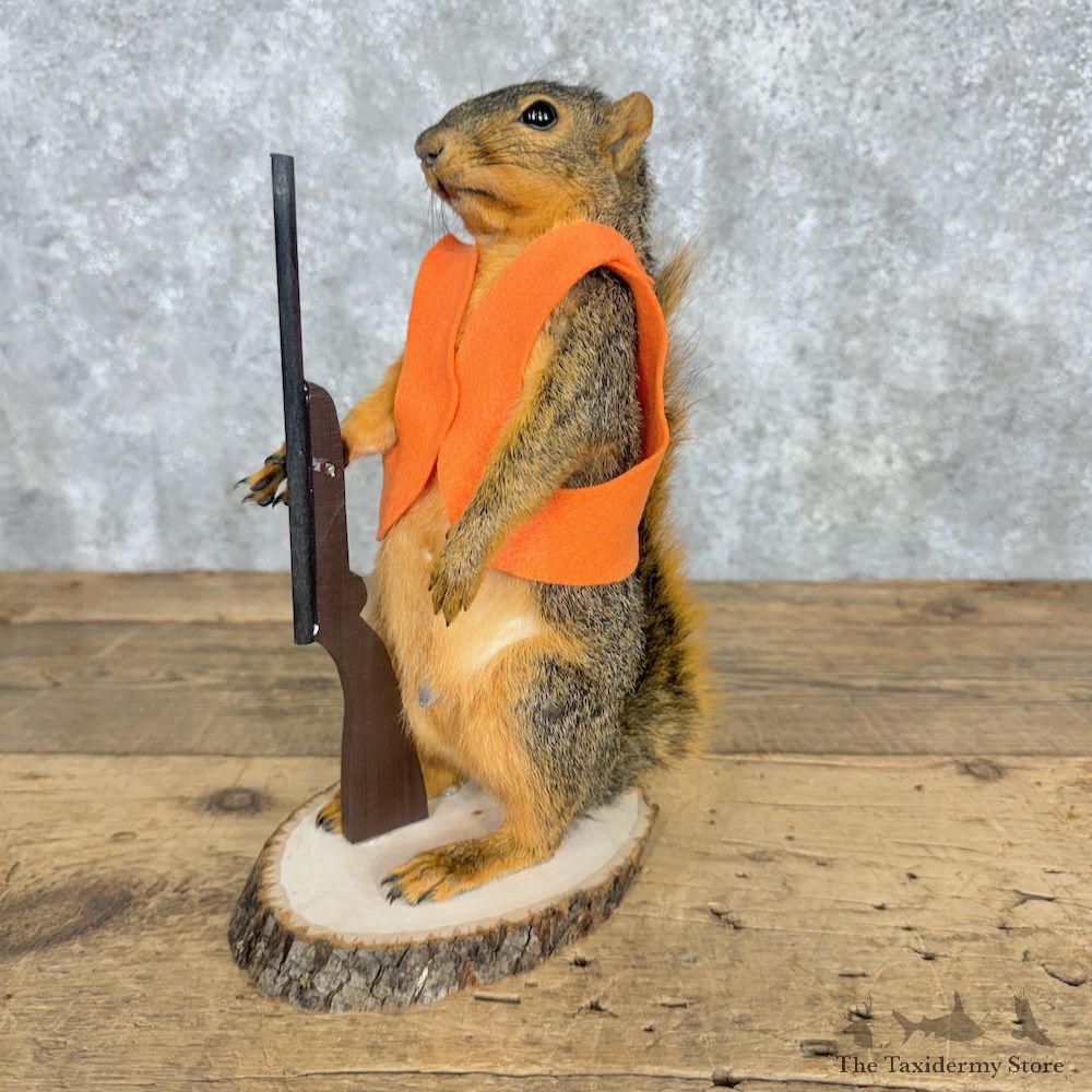 Hunting Squirrel Novelty Mount For Sale #29494 @ The Taxidermy Store